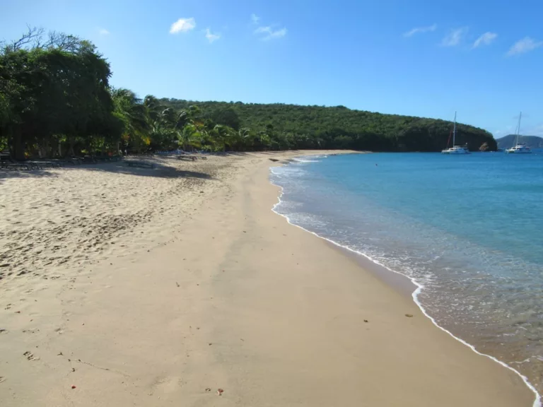 Saline Bay 2 768x576