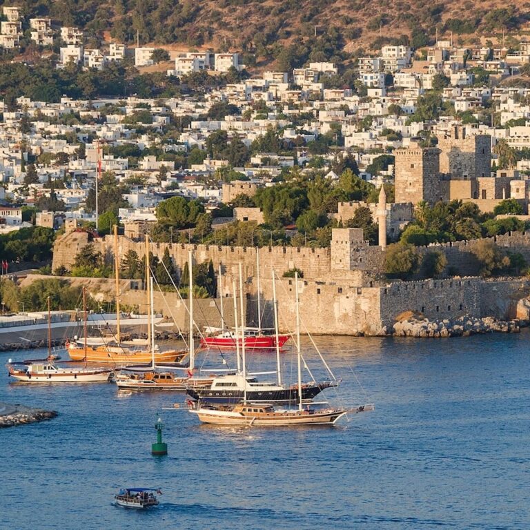 Photo courtesy of <a href="https://commons.wikimedia.org/wiki/File:Bodrum_Castle_(2017).jpg">Serhio Magpie</a>