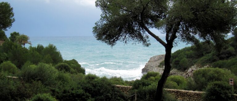 Cala Murta Porto Christo op Mallorca 768x330