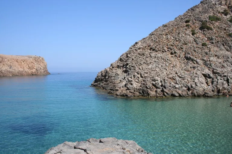 Cala domestica 768x512