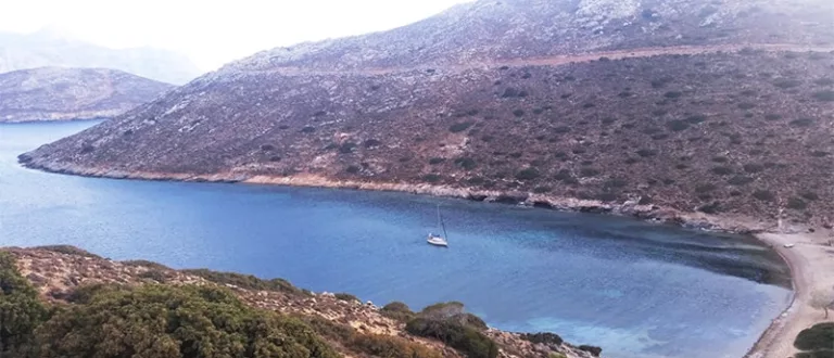 PicOfBay 768x330